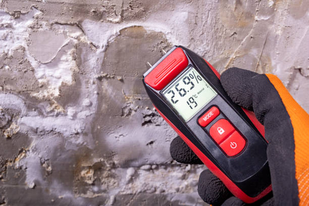 Best Crawl Space Mold Removal  in Belgium, WI