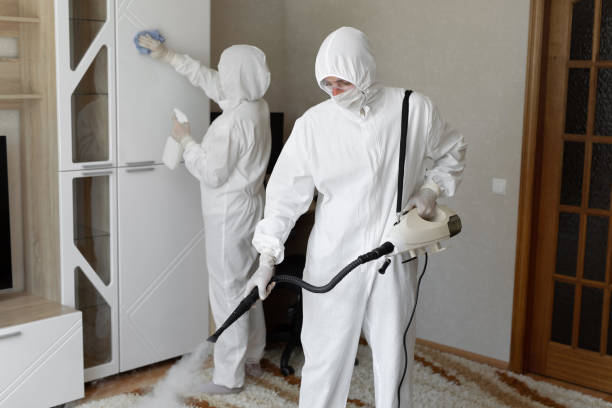 Best Certified Mold Removal  in Belgium, WI