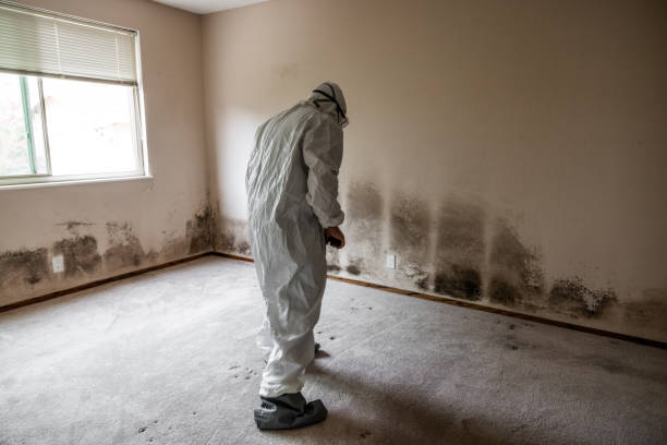 Water Damage Restoration in Belgium, WI